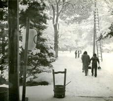 雪に覆われた寺院の境内の写真 