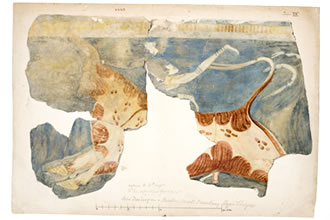 図版ⅩⅢ「ティリンス宮殿の壁画、牛の背で踊る男の図」原画