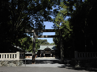 森の奥に神社が見える写真