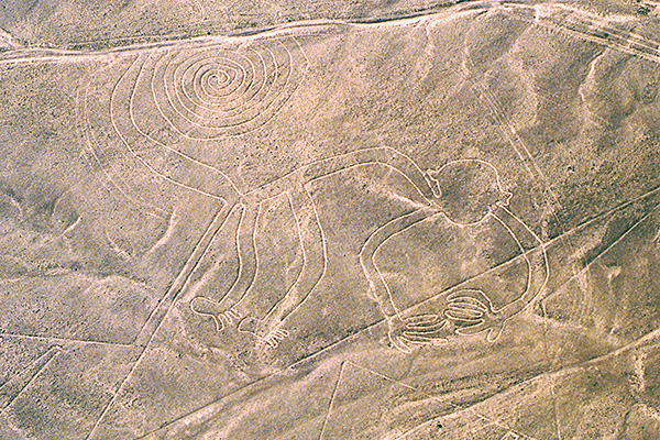 地上に描かれた巨大なサルの絵の写真