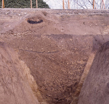 発掘されたＶ字形の堀の断面