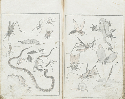 蛙や蝶、蜂、蛇などが描かれた図。