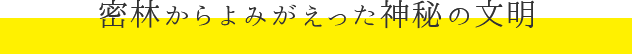 密林からよみがえった神秘の文明