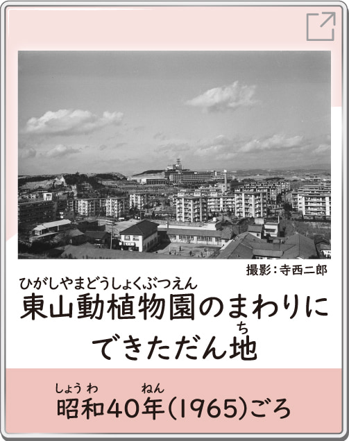 東山動植物園のまわりにできただん地　昭和40年（1965）ごろ