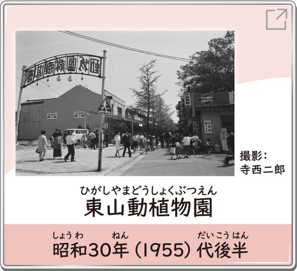 東山動植物園　昭和30年（1955）代後半