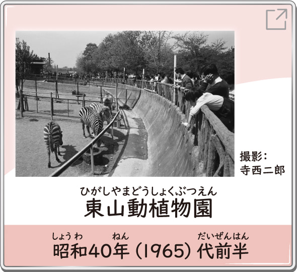 東山動植物園　昭和40年（1965）代前半