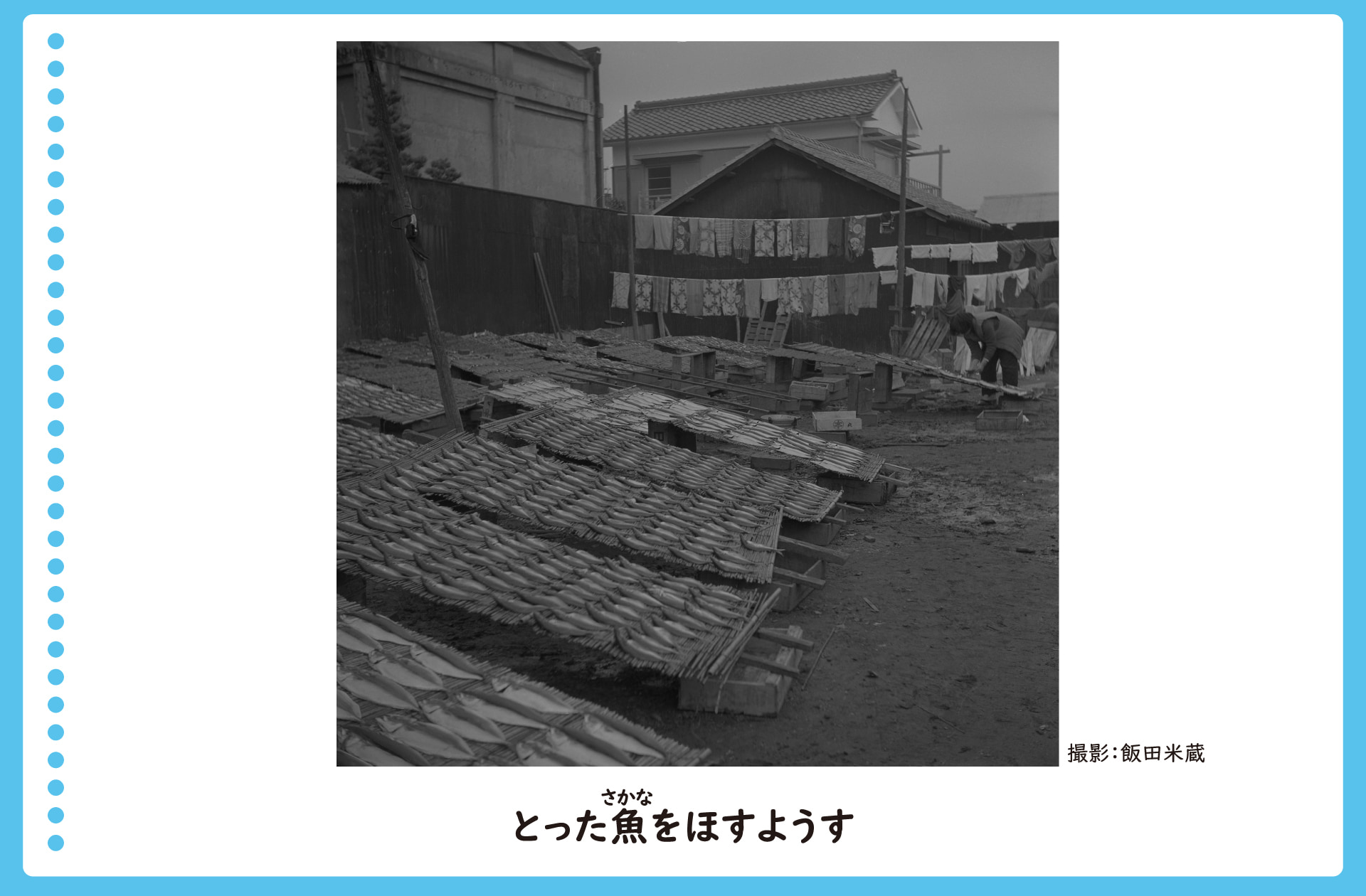浜辺でとった魚をほす風景。ござの上に、ひらいた魚が沢山ならべて干されている。