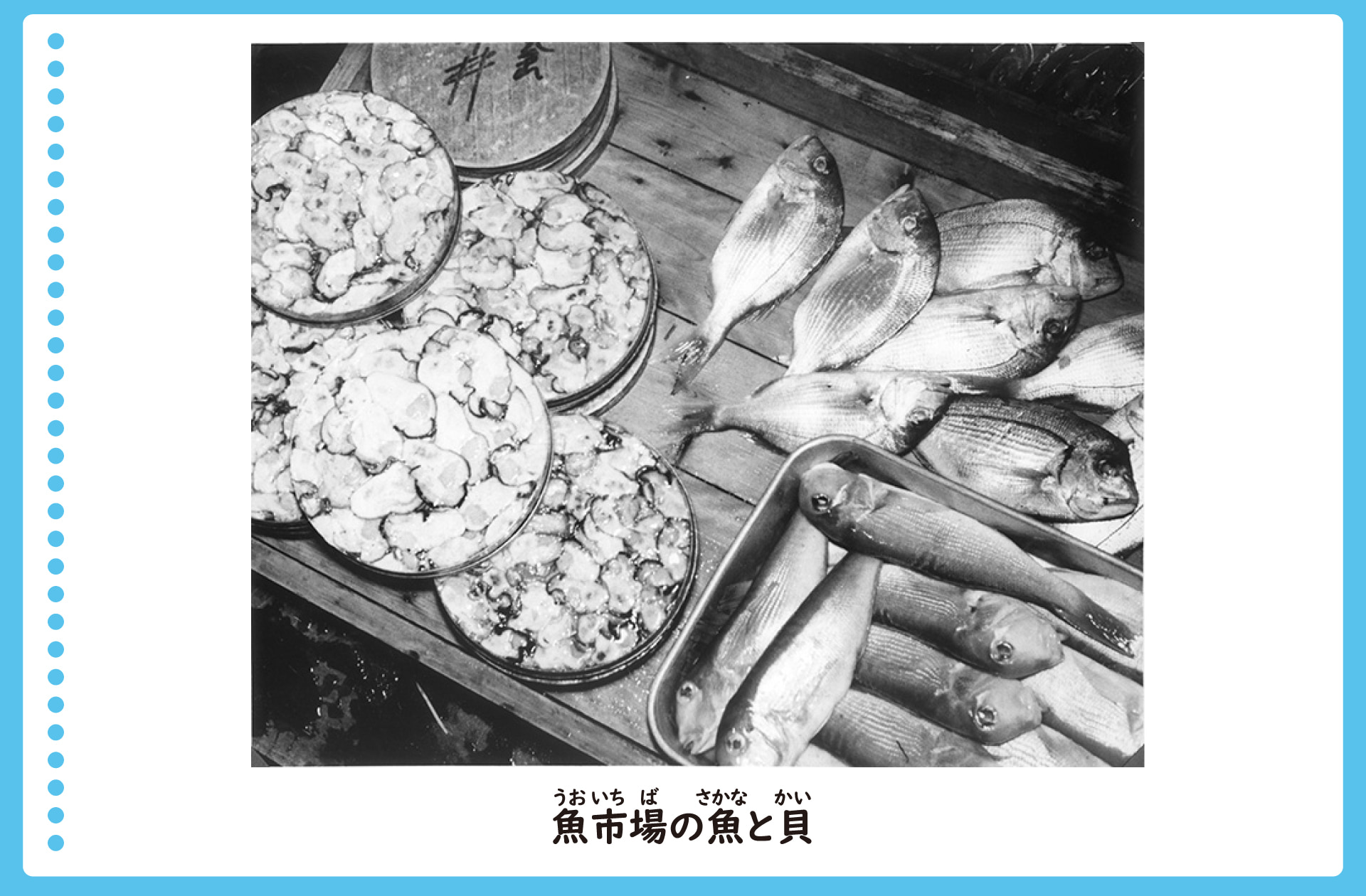 魚市場で売る魚と貝の風景。沢山の貝がお皿にもられていたり、魚が種類ごとに分けておかれている。