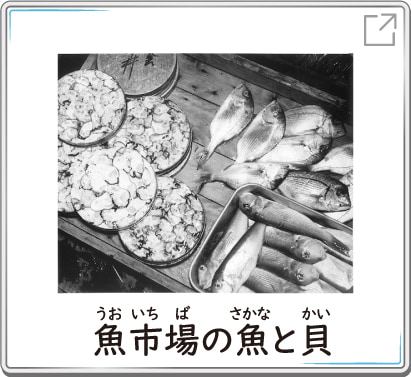 魚市場の魚と貝